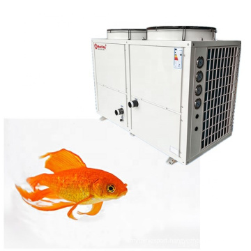 Meeting constant temperature RoHS heat pump control system for energy-saving and environment-friendly fish farms